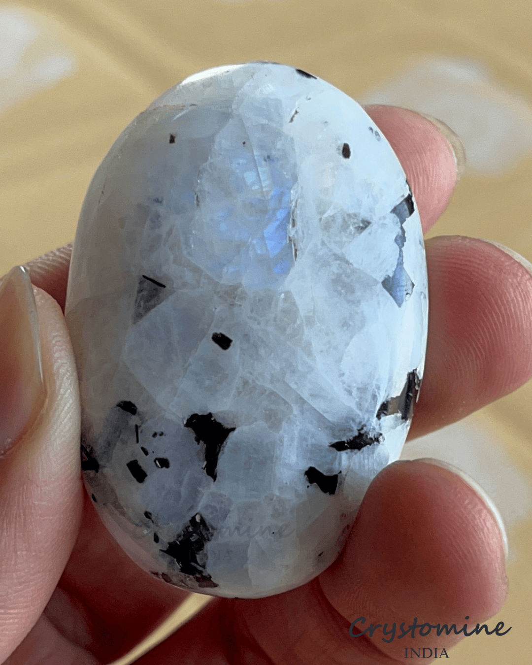 Rainbow Moonstone \ Palm Stone \ 2 inch \ 60 gm \ RMPS2