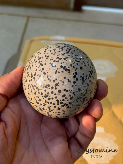 Dalmatian Jasper \ Sphere \ 2.5 inch \ 390 gm \ DJS1