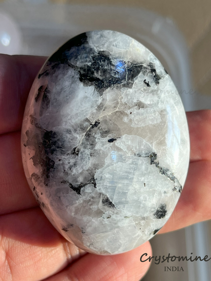 Rainbow Moonstone \ Palm Stone \ Flashy \ 2 - 2.5 inch \ 81 gm \ RMPS1