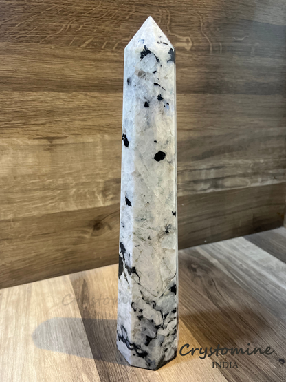 Rainbow Moonstone \ Tower \\ Exclusive and Rare \\ Flashy \ 13.5 inch \ 2.34 kg \ Bottom Thickness: 3 inch \ RMTER1