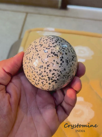 Dalmatian Jasper \ Sphere \ 2.5 inch \ 390 gm \ DJS1