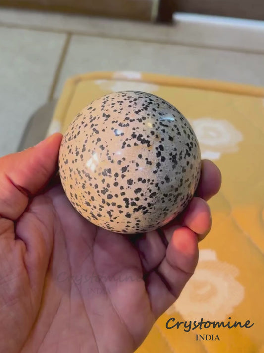 Dalmatian Jasper \ Sphere \ 2.5 inch \ 390 gm \ DJS1