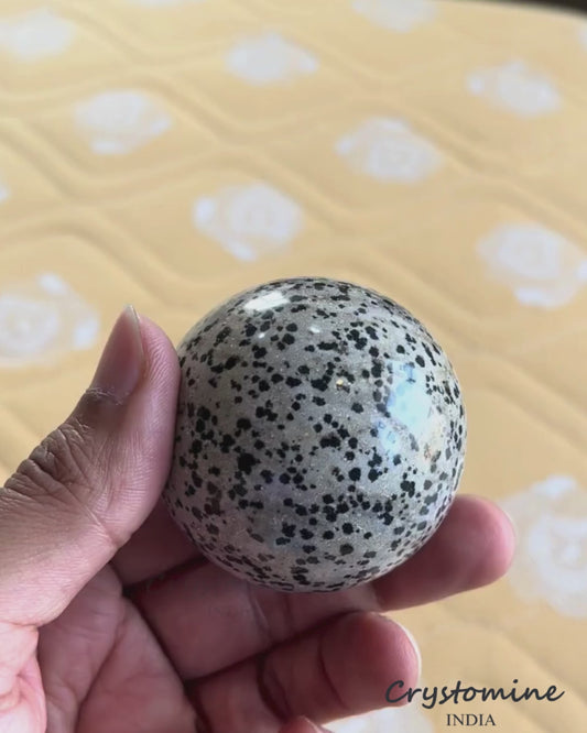 Dalmatian Jasper \ Sphere \ 2 inch \ 238 gm \ DJS2